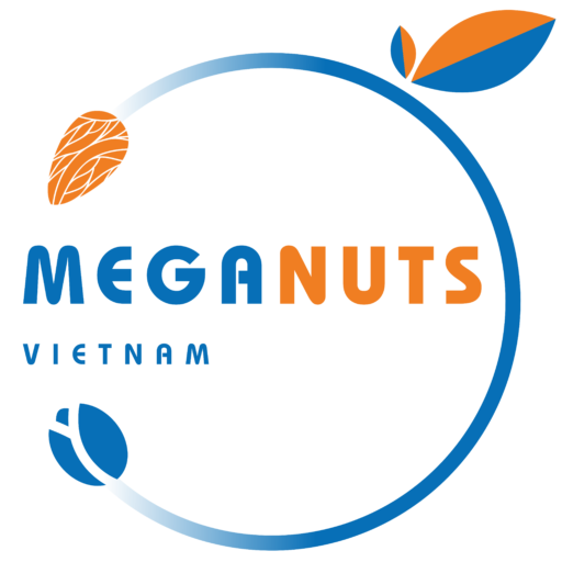 logo website meganutsvn