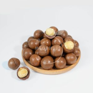 macadamia nuts in shell size j
