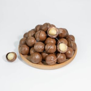 macadamia nuts in shell size l
