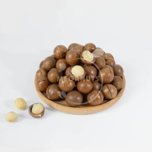 macadamia nuts in shell size M