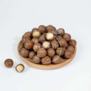 roasted salted macadamia nut in shell
